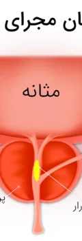 1688382985